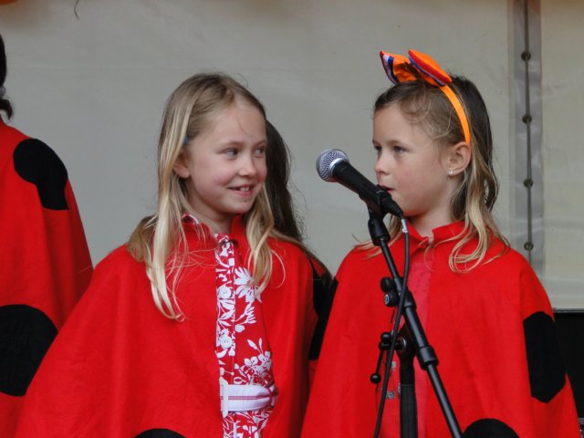 Koninginnedag 2010 087.jpg